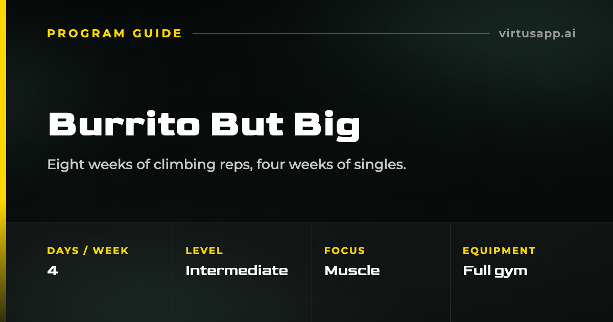 How to run the Burrito But Big program