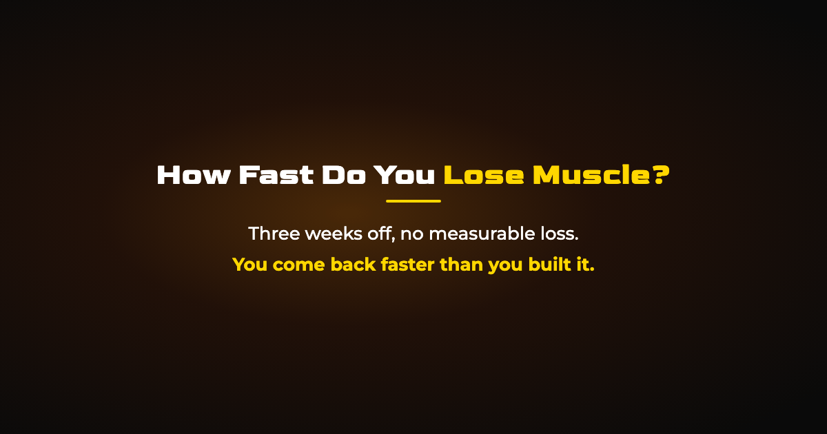 How Fast Do You Lose Muscle? The Detraining Timeline