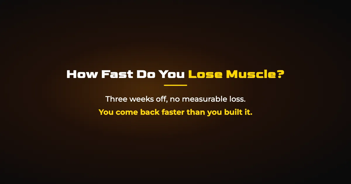 How Fast Do You Lose Muscle? The Detraining Timeline