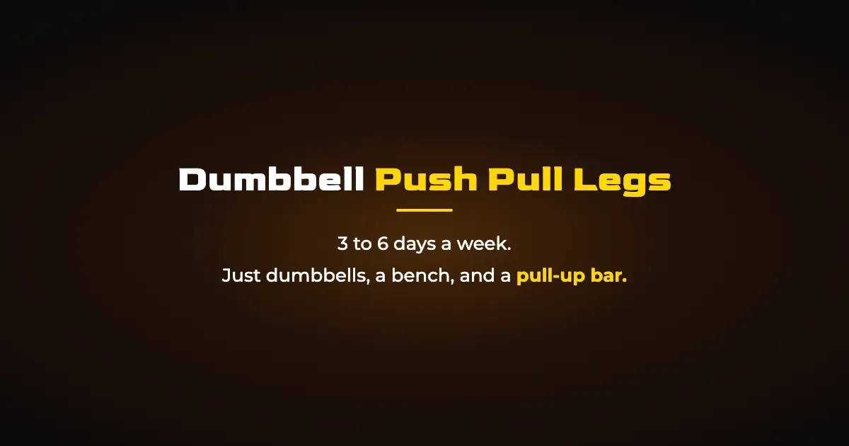 How to run the Dumbbell PPL program