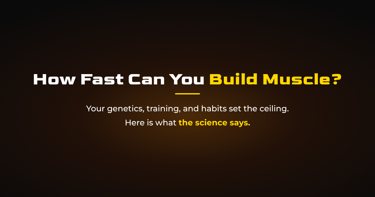 How Fast Can You Build Muscle? Rates by Experience Level