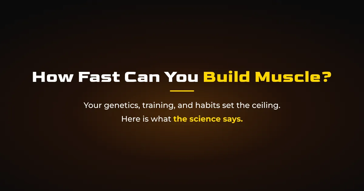 How Fast Can You Build Muscle? Realistic Rates by Experience Level