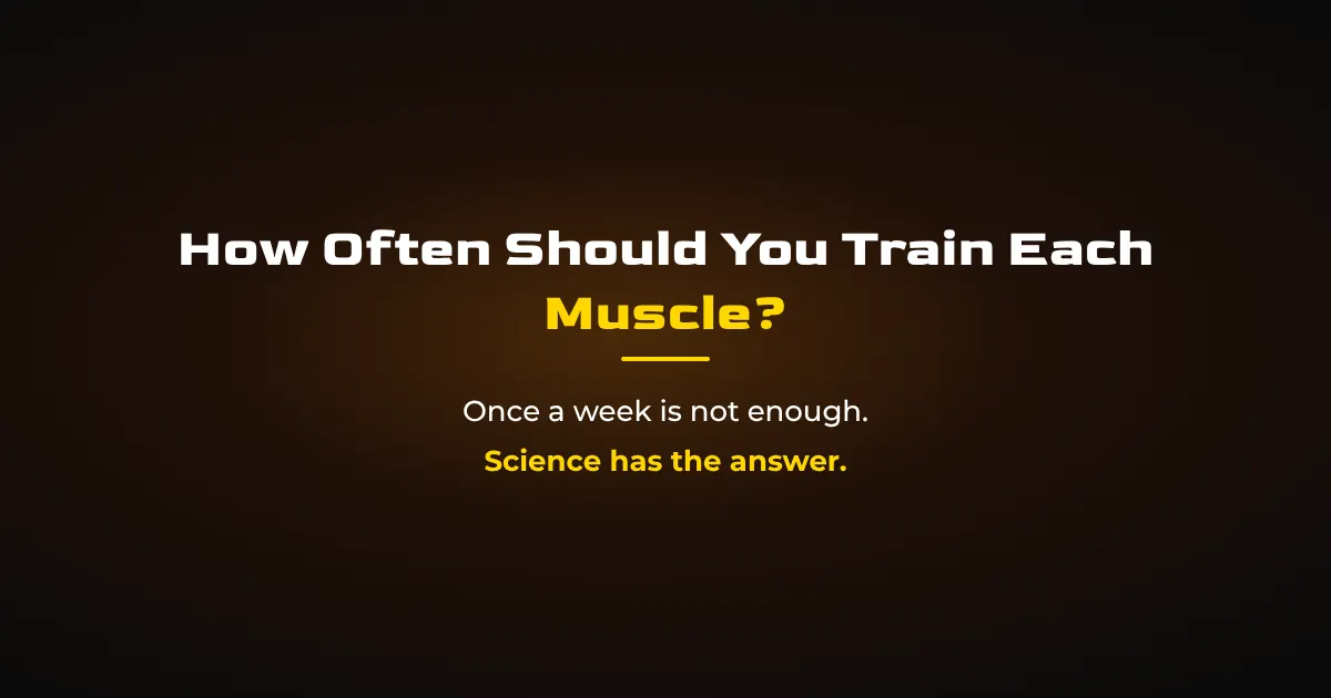How Often Should You Train Each Muscle? The Science of Frequency