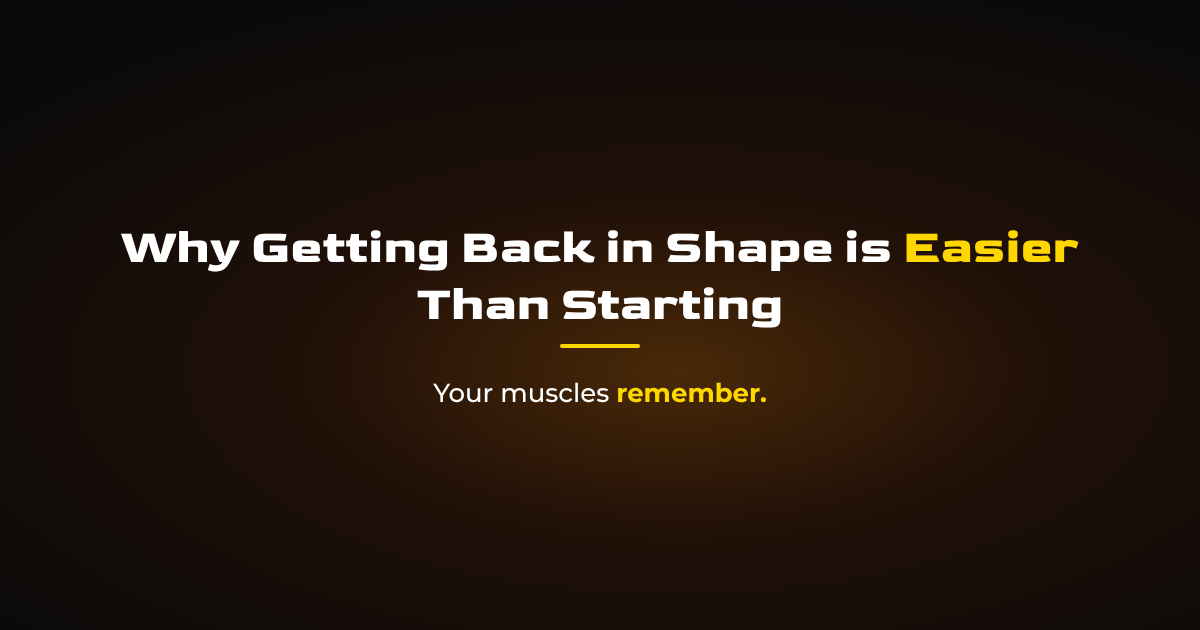 Muscle Memory Explained: Why Getting Back in Shape Is Easier