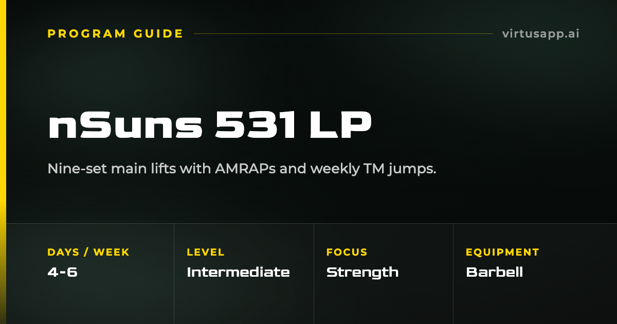 How to run the nSuns 531 LP program